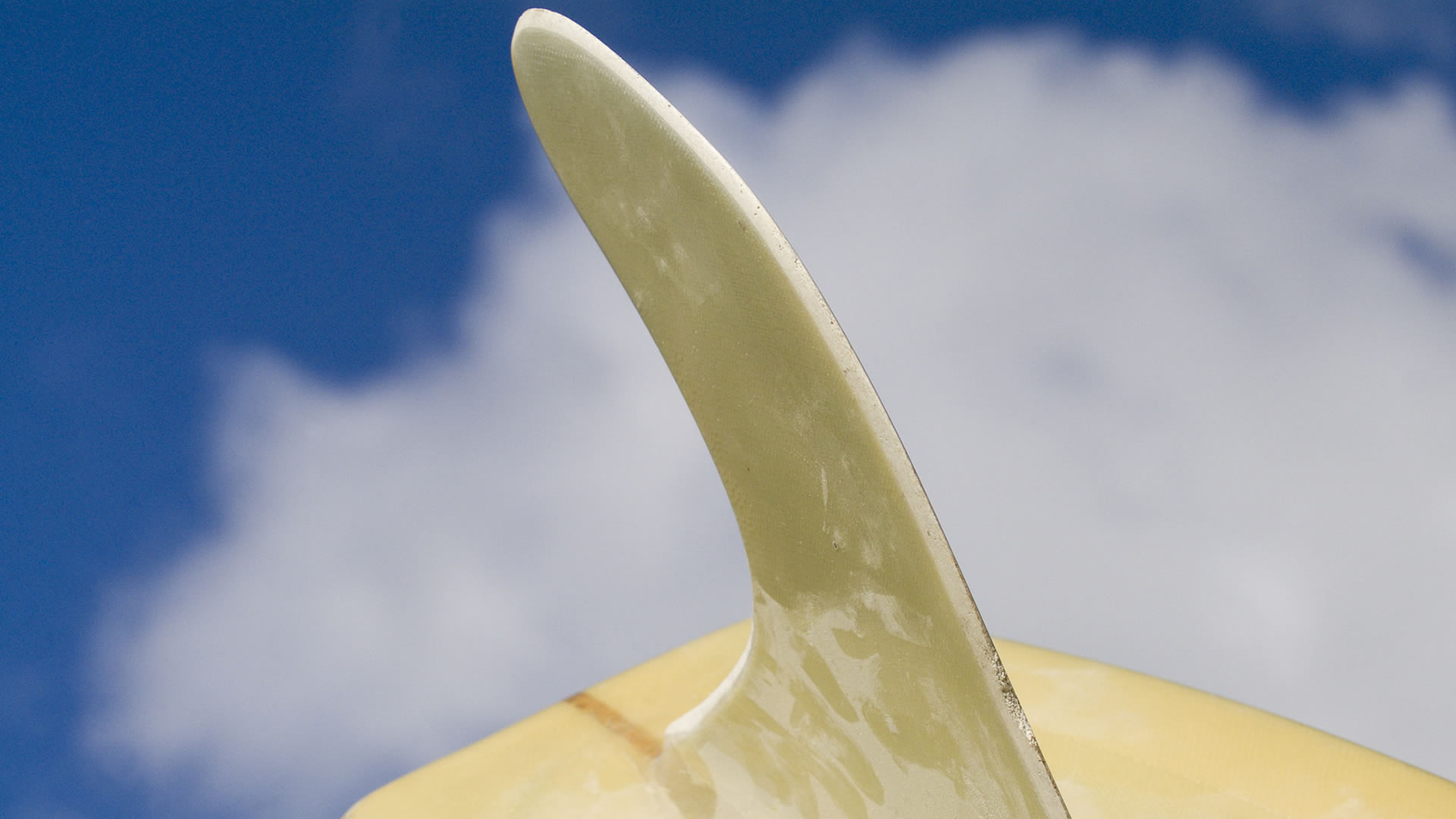 Surfboards